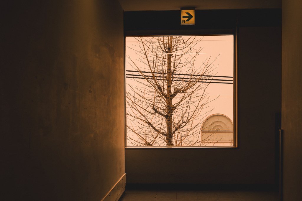 The Higher We Go, the More We Forget