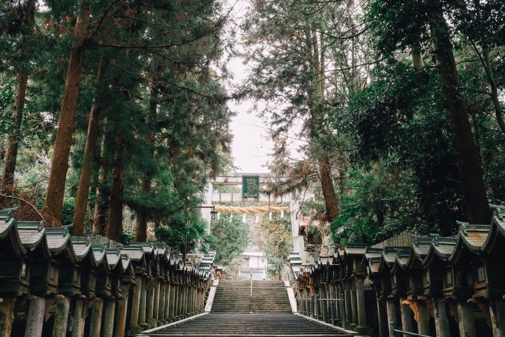 Mt Ikoma Felt Like a Secret